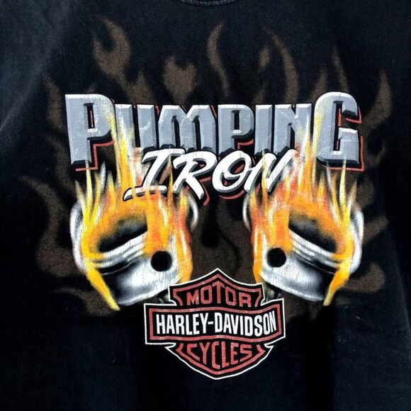 HARLEY DAVIDSON motor cycle tank graphic - Picture 6 of 6